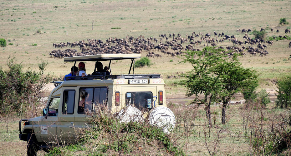 Game Drives