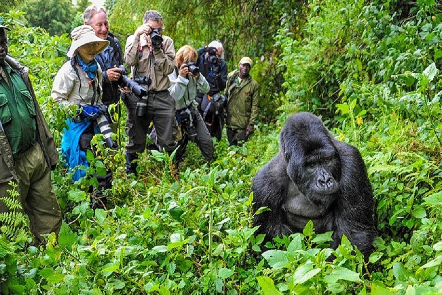 Kidepo National Park