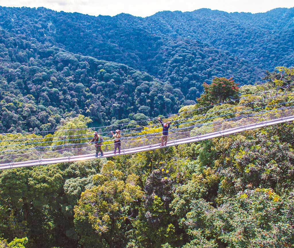 Nyungwe Forest National Park