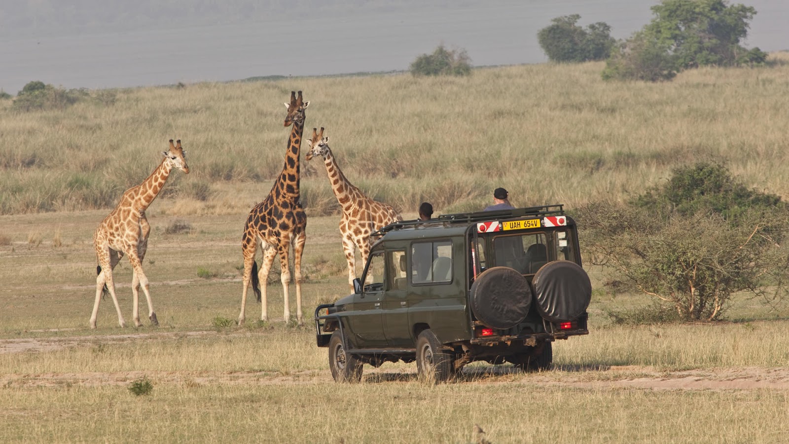 Game Drive