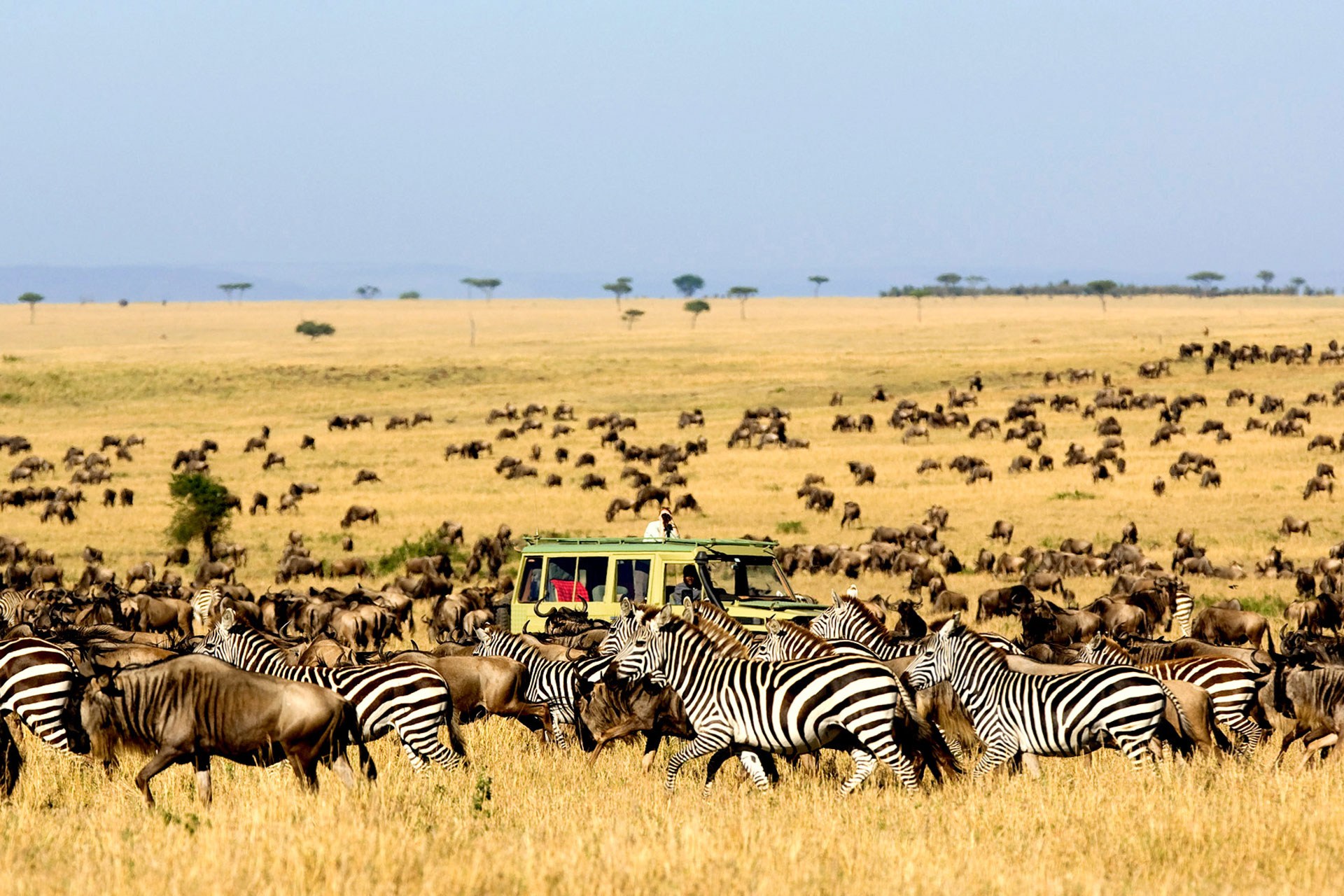 3 Day Kidepo Wildlife Safari