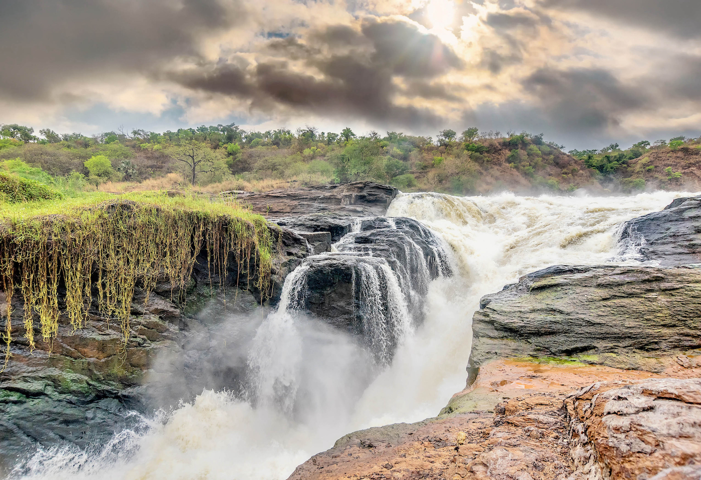 13 Day Classic Wildlife Uganda Safari