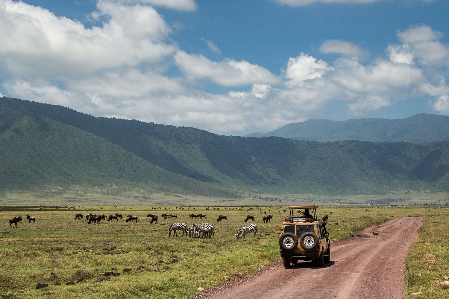 6 Day Tanzania Wildebeest Safari