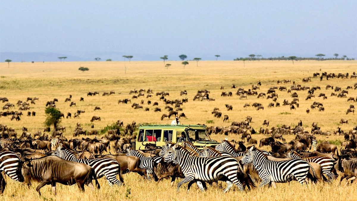 2 Day Serengeti Safari